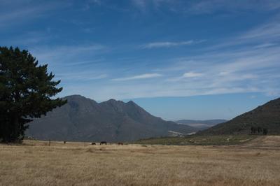 Farm For Sale in Piketberg Rural, Piketberg